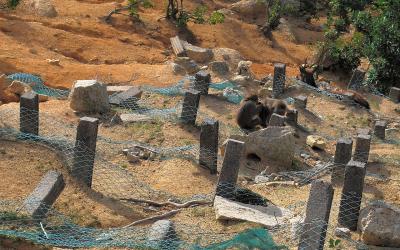 Monkey Island Summit - ha-long | Diem tham quan
